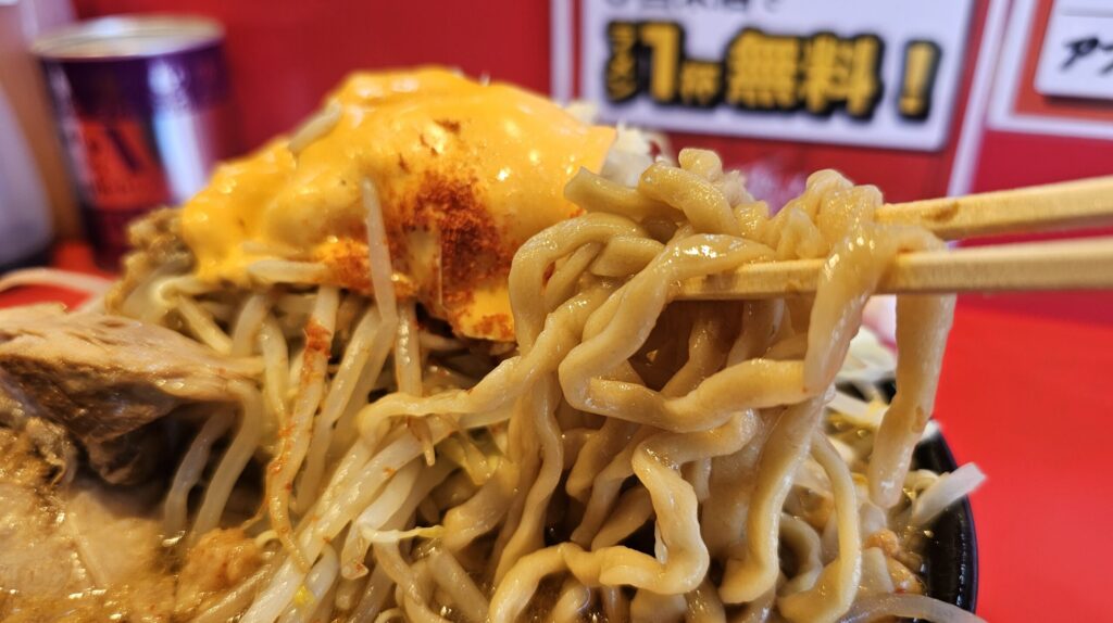 耳たぶよりやや硬め太麺で、しっかり小麦を感じられる